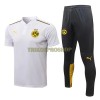 BVB Borussia Dortmund Trainings Poloshirt 2022-23 Weiße Für Herren